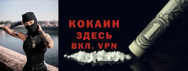 стаф Аркадак