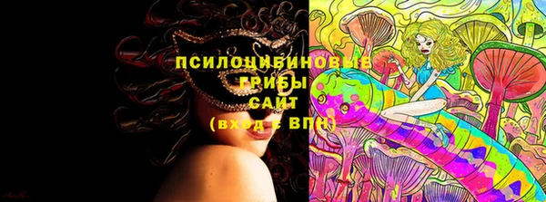 шишки Армянск