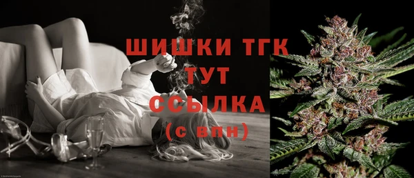 стаф Аркадак