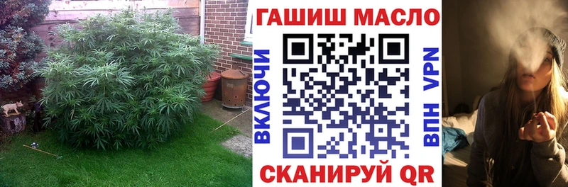 наркота  Онега  ТГК вейп с тгк 